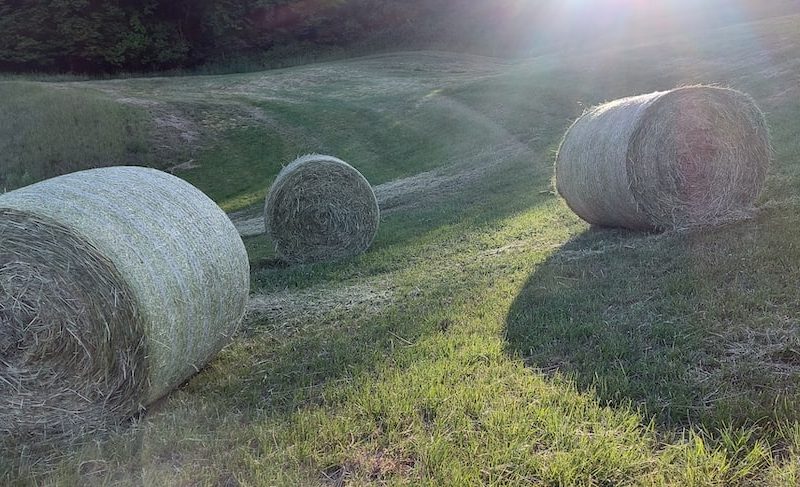 Fotbolls Bale: Gareth Bales framgångar inom fotbollen