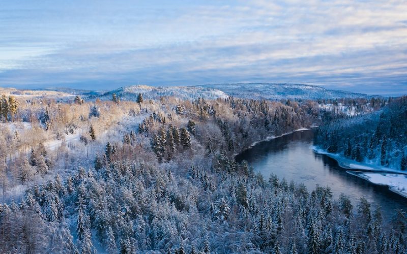 Sundsvall AIK: En översikt över klubbens historia, prestationer och spelarprofiler