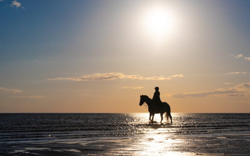 Varberg AIK: En Framstående Fotbollsklubb i Sverige